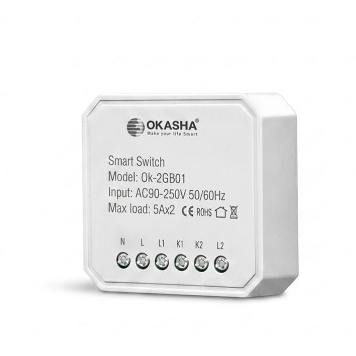 Smart In-Wall Two Gang WiFi Touch Switch